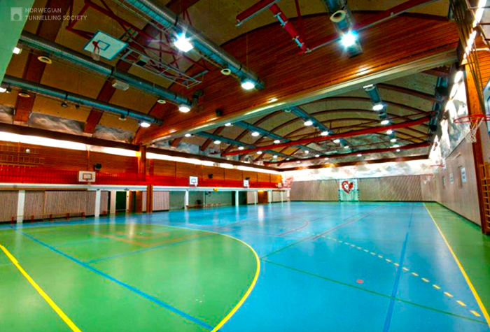 Спортивный зал Holmlia. Активно эксплуатируется с 1984 г.